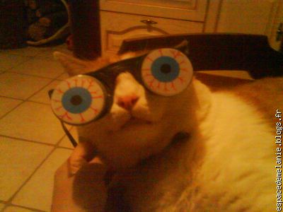 MR JERRY